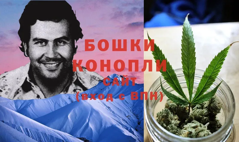 наркота  Новороссийск  shop телеграм  Марихуана THC 21% 